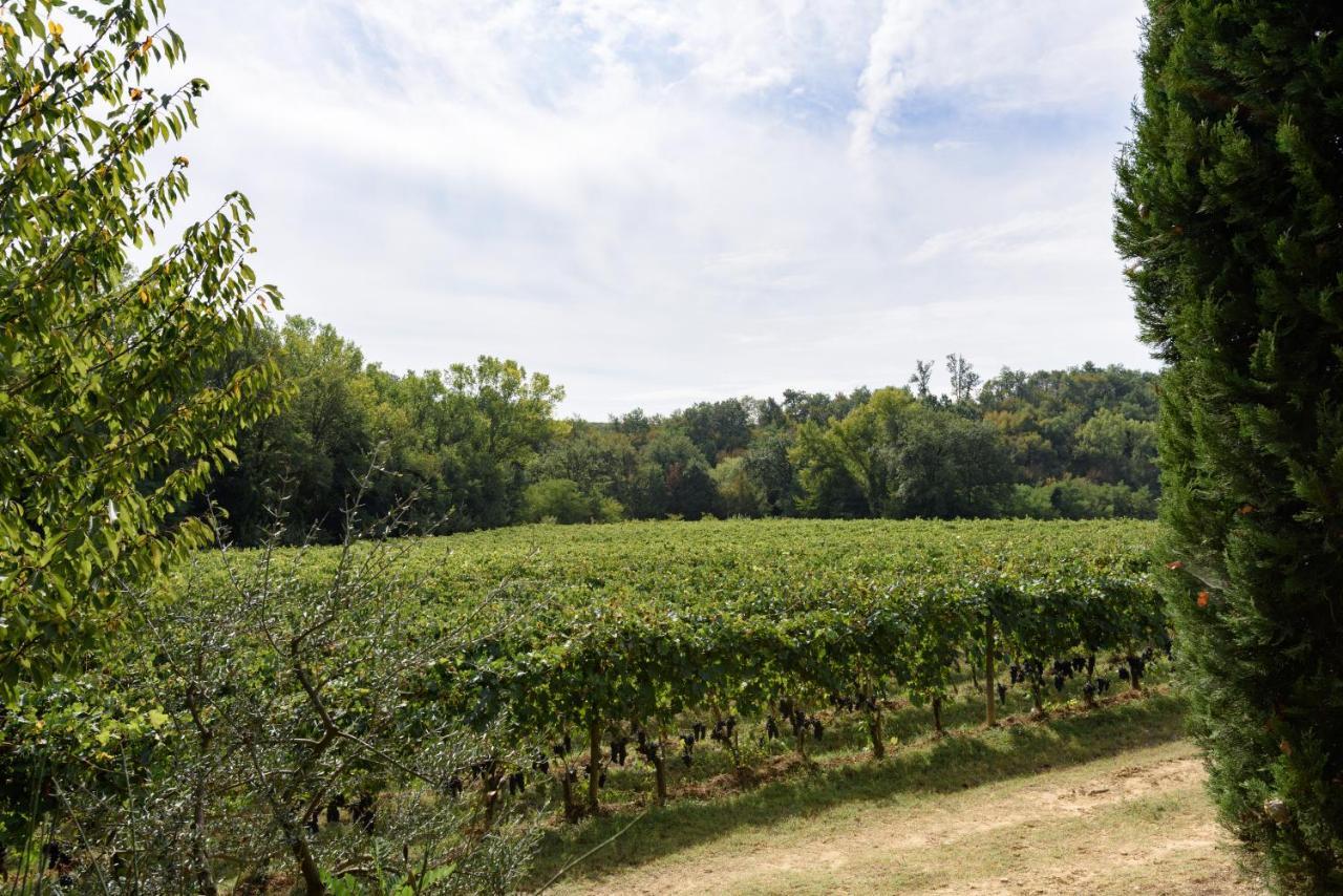 Il Molinaccio Di Montepulciano Villa ภายนอก รูปภาพ